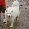 Jesse Carson - @jesse.carson2 - TikTok