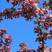 Jessie Manzer Cates - Facebook
