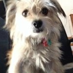 Jessie Coe - @jessie_bear2003 - Instagram