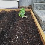 Jessie Crouch - @crouchfamilyfarms - Instagram