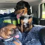 Jessie Burkhardt Doherty - @jessssportsigns - Instagram