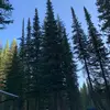 Jessiedoherty - @jdoherty20 - TikTok