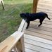 Jessie Dotson - Facebook