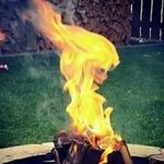 Jesse Downing - @jesse.downing1 - Instagram