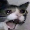 jesse.forrest - @jesse.forrest - TikTok