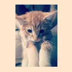 Jessie Frederick - @stoneborn2reader - Instagram