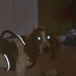 Jessie Helms - @dooglas_30_ - Instagram