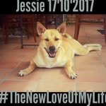 jessie Hook - @jessie_drhook - Instagram