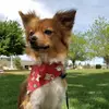 Jessie Lightfield - @jessie.lightfield - TikTok