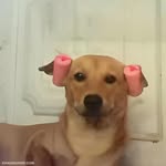 Jessie_mn - @_jessie.main - Instagram