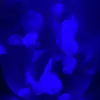 jessie.main - @jessie.mainnnn - TikTok