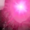 Jessie_major - @jessie_major - TikTok
