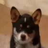 Jesse Mathis - @jessemathis - TikTok