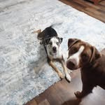 Jessie Mize - @jessiemize - Instagram