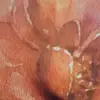 Jessie Motte - @jessie.motte - TikTok