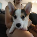 jessie ng - @jessieng - Instagram