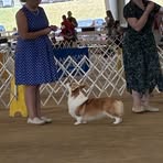 Jessie Ogle - Facebook