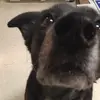 Jessie Post - @jessie.post3 - TikTok