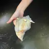 jessieposts - @jessieposts - TikTok