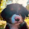 jessierowley5 - @jessierowley5 - TikTok