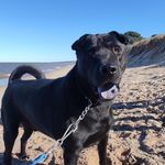 Jessie - @jessie_sappia - Instagram