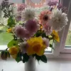 Jess slade x - @jessicaslade._ - TikTok