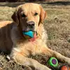 Jessie Smith 2.0 - @jessie.smith.2.0 - TikTok
