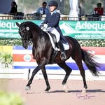 Jessie Steiner - @jessie_steiner_dressage - Instagram