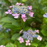 Jessie Stern - @jessie_stern - Instagram