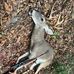 Jesse Sutton - Facebook