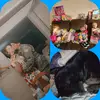 Jessie Willis - @jessiewillis7 - TikTok