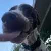 jessiewillson2 - @jessiewillson2 - TikTok