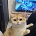 Jessie Yip - Facebook