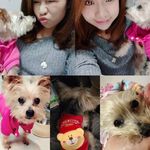 Jessie Yip - @jessie.yip2 - Instagram