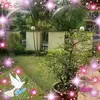 Jessy Kaur - @jessy.kaur6 - TikTok