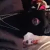 Jessy Rogers - @jessy.rogers7 - TikTok
