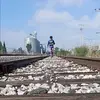 rogersjessy - @rogersjessy - TikTok