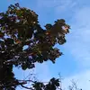 Jessy Stone - @jessy.stone1 - TikTok