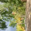 Jessy Vidal - @jessy.vidal4 - TikTok