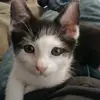 jessycabrown306 - @jessyb306 - TikTok