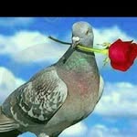 Jesula Joseph - @jesula.joseph.16940 - Instagram