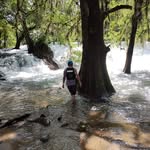Jesus Alejandre - @jesus.alejandre.52035 - Instagram