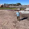 Jesús Argüello - @jesusarguello_3 - TikTok
