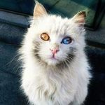 Jesus Ayon - @jesus.ayon.357 - Instagram