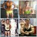 Jesus Barroso - Facebook
