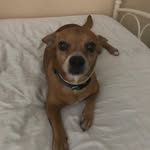 Jesus Brown - @twin.johnson1 - Instagram