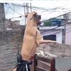 Jesus Brown - @jesus.brown25 - TikTok