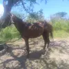 Jesus Calzada - @jesus.calzada17 - TikTok