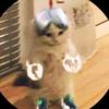 Jesus Castor - @jesus.castor4 - TikTok