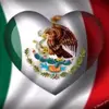 Jesus Cedillo - @jesuscedillo30 - TikTok
